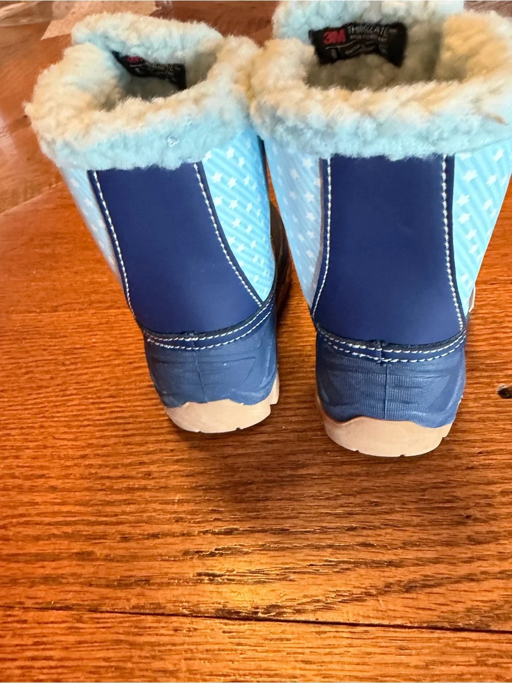Bluey kids snow